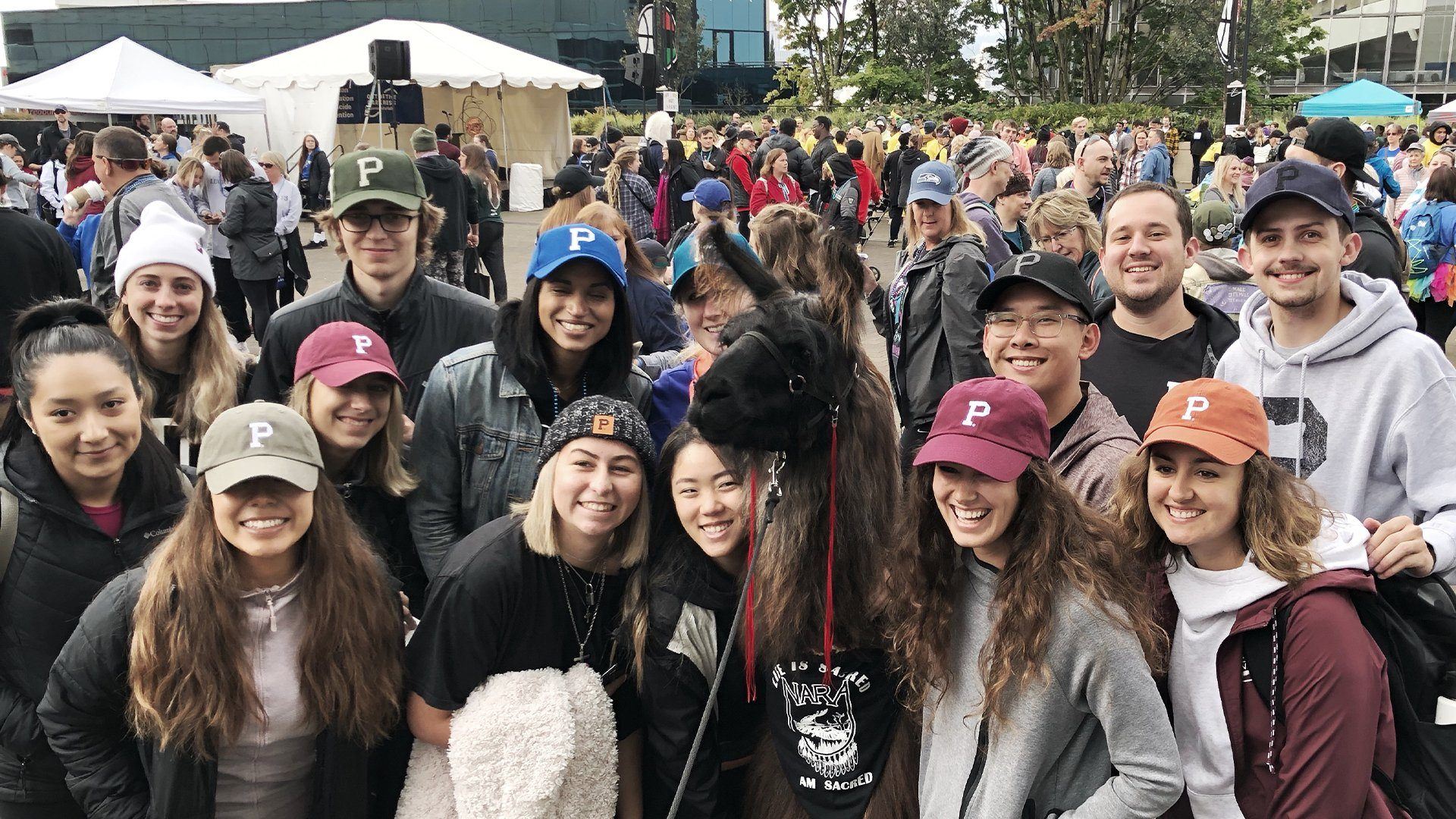 Out of Darkness Walk with the AFSP. - Portland Gear