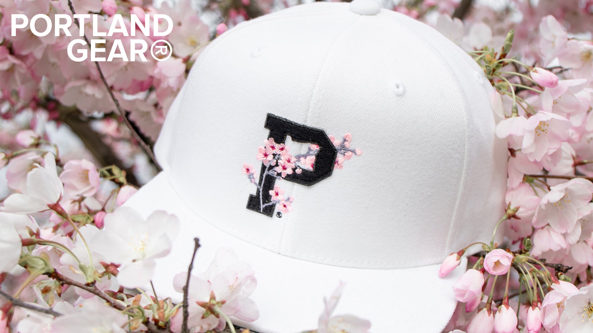 Cherry Blossoms Collection 🌸