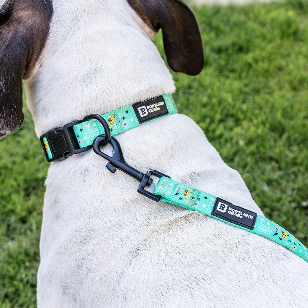 OHS x PG - Dog Collar