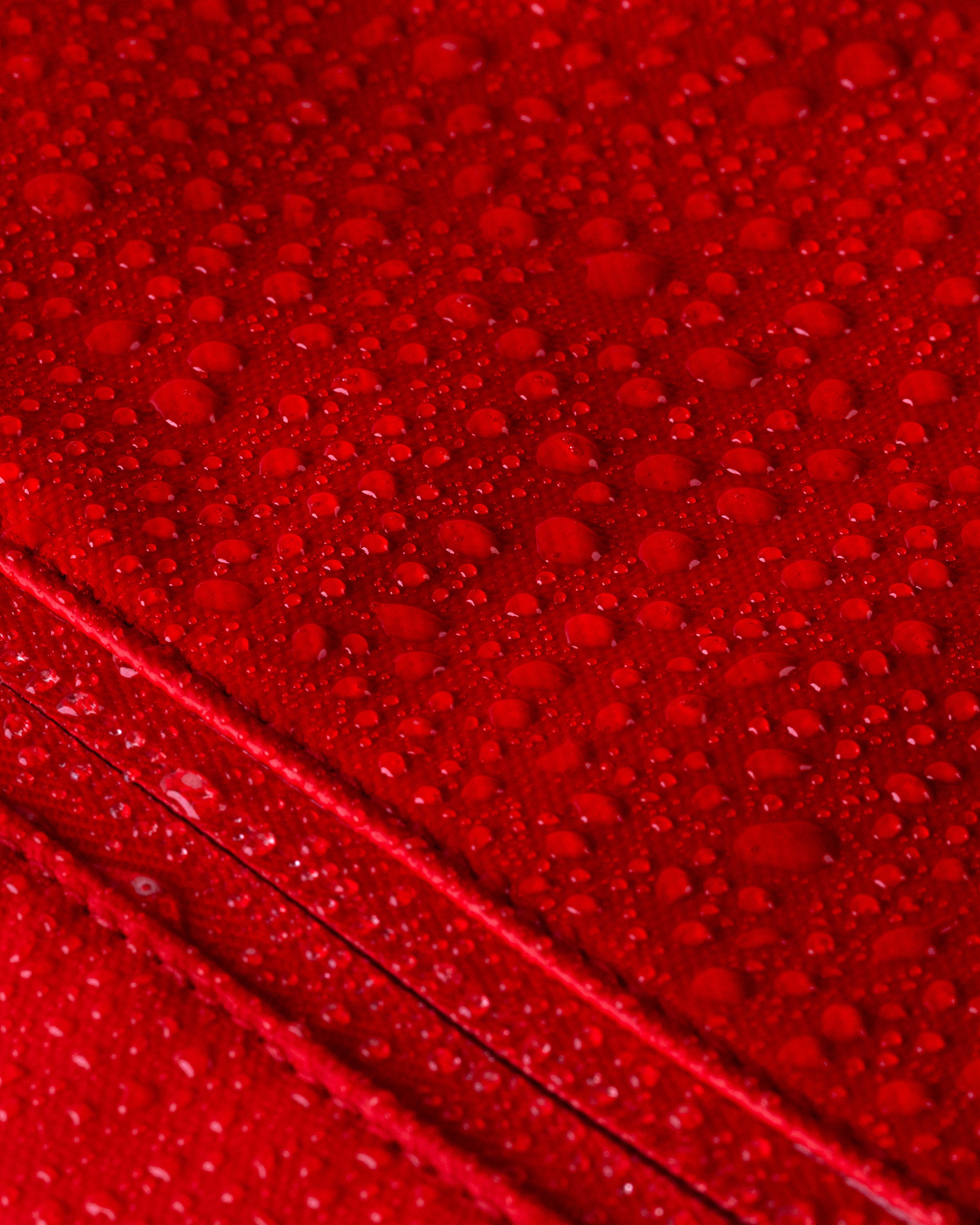 #color_rose