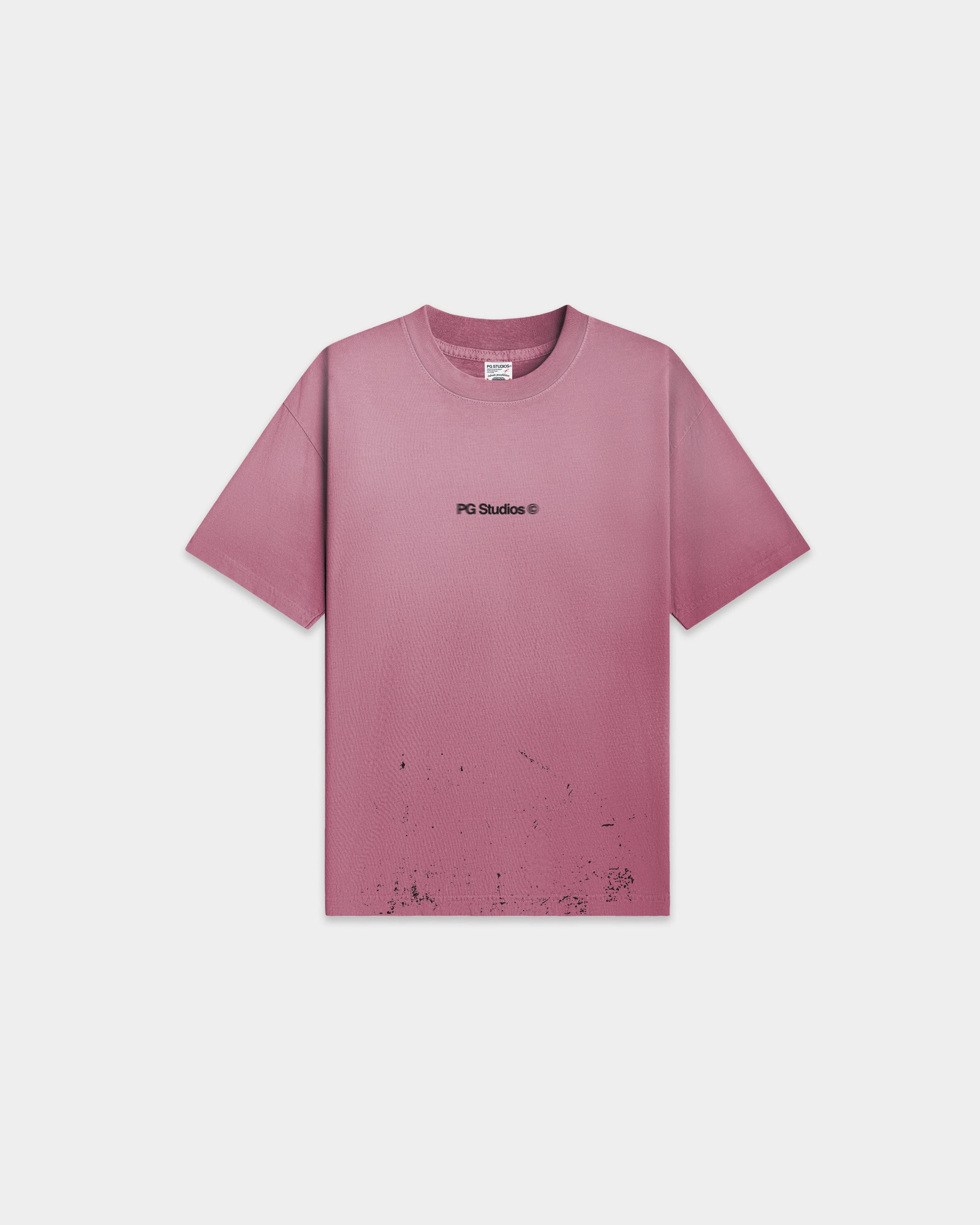 PGS_T 001