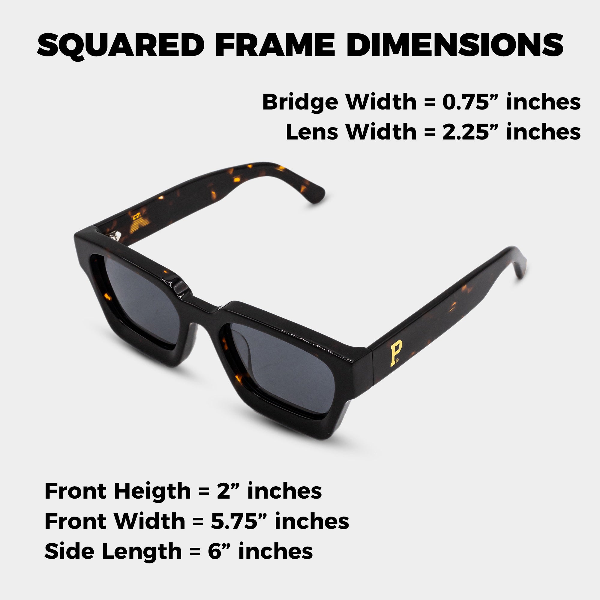 Hayward Frames