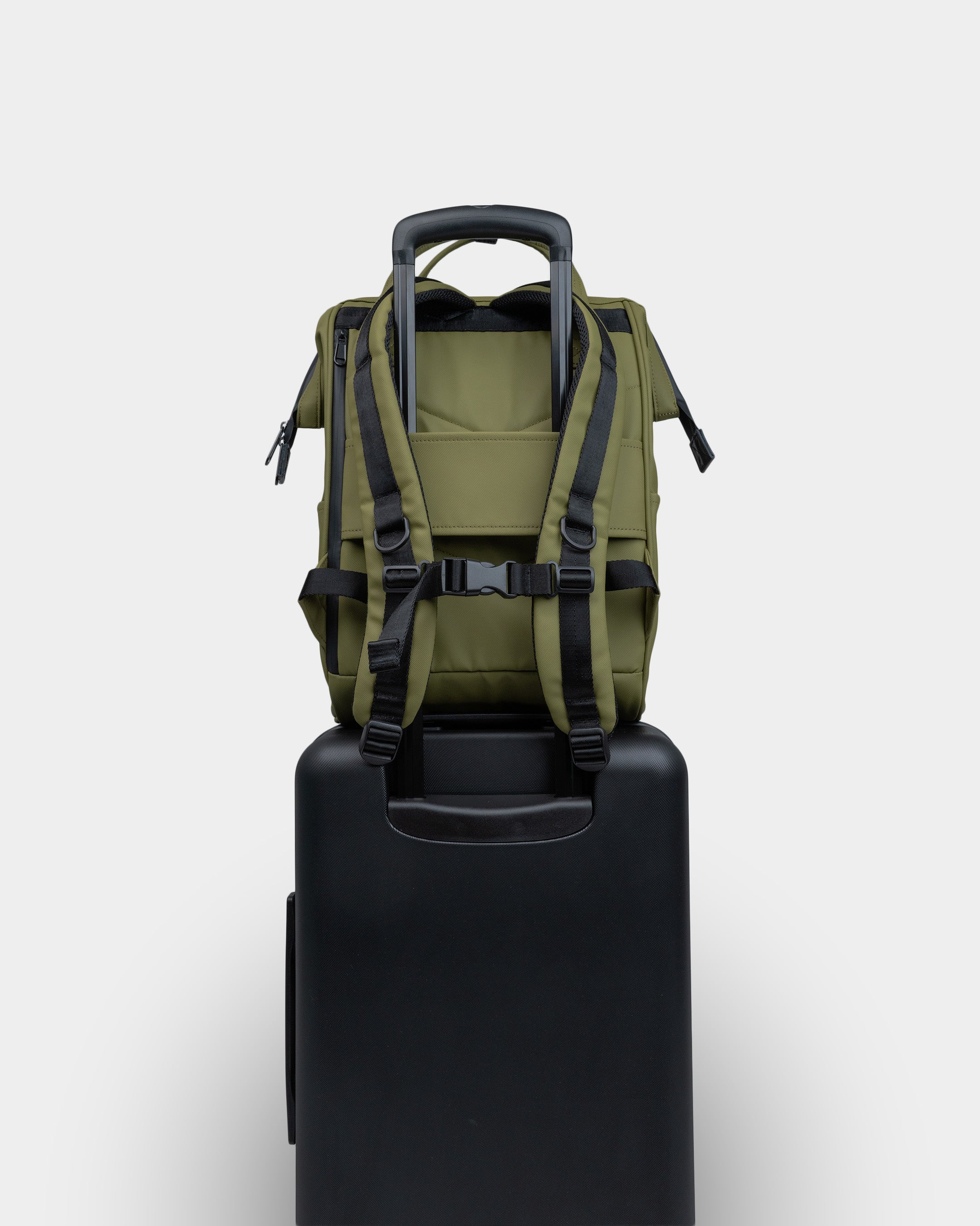 #color_olive
