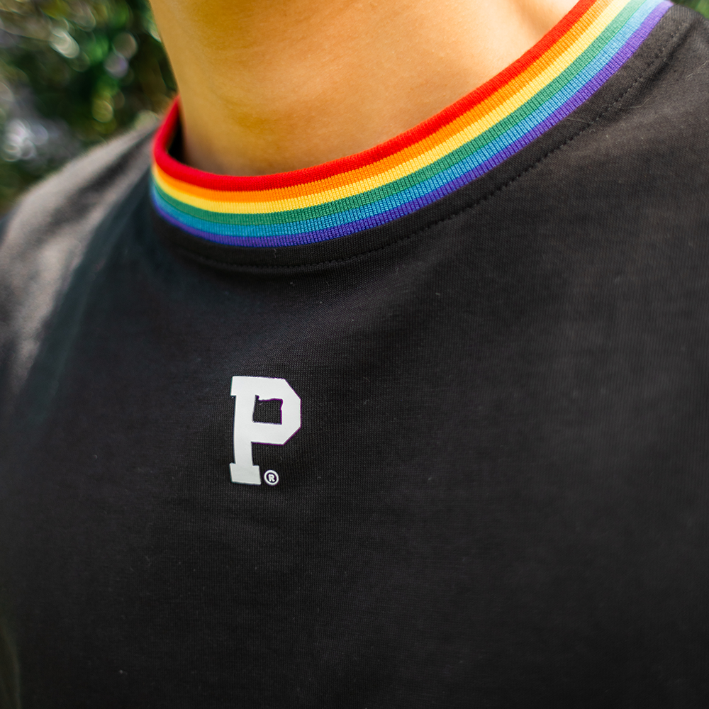 HeavyKnit Pride Ring Tee