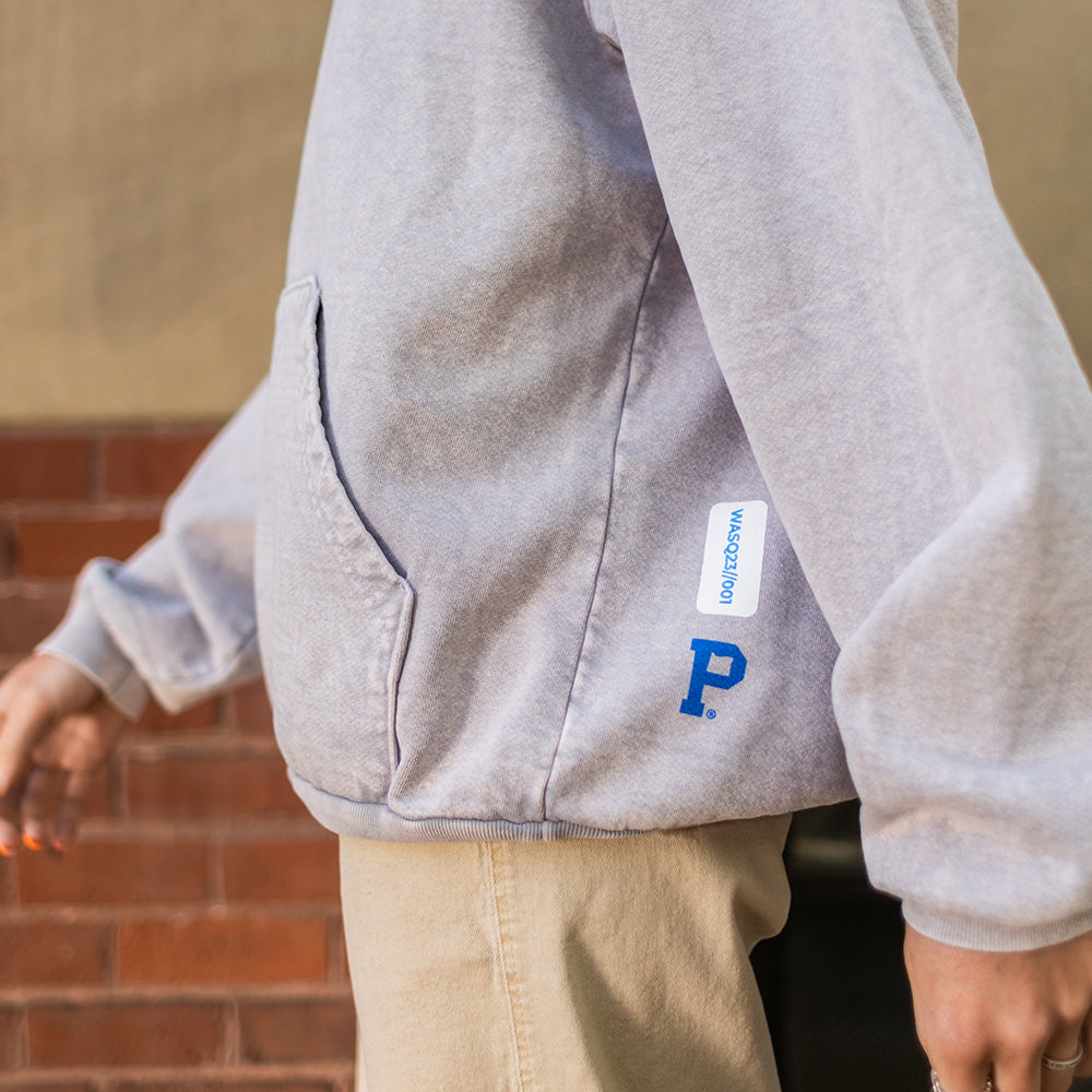 All-American Registered Logo Hoodie - Ice