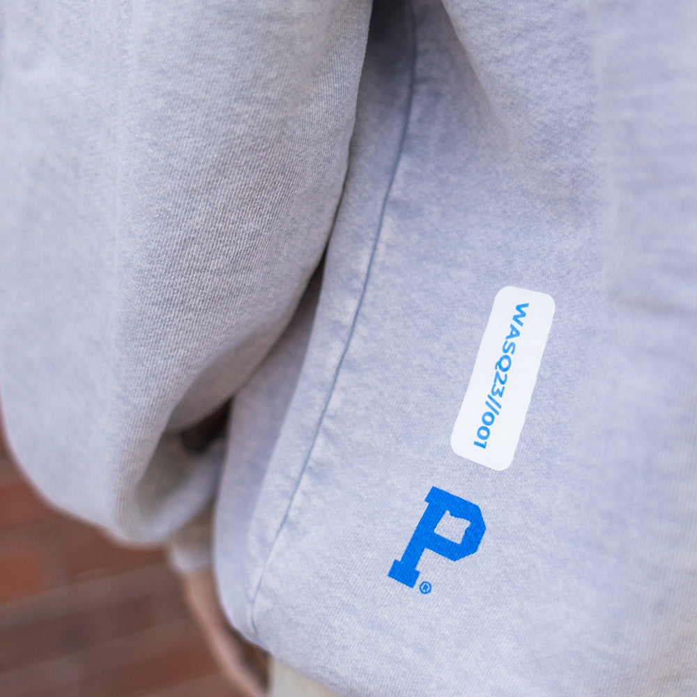 All-American Registered Logo Hoodie - Ice