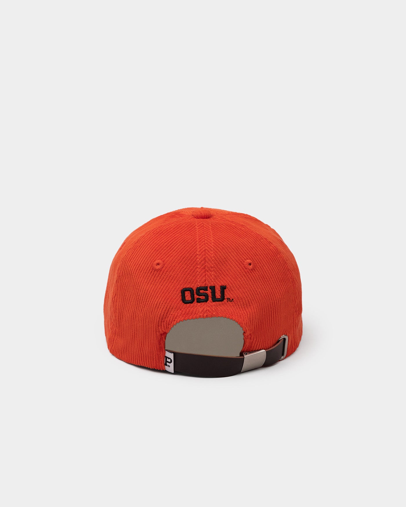 #school_oregon state university #color_orange