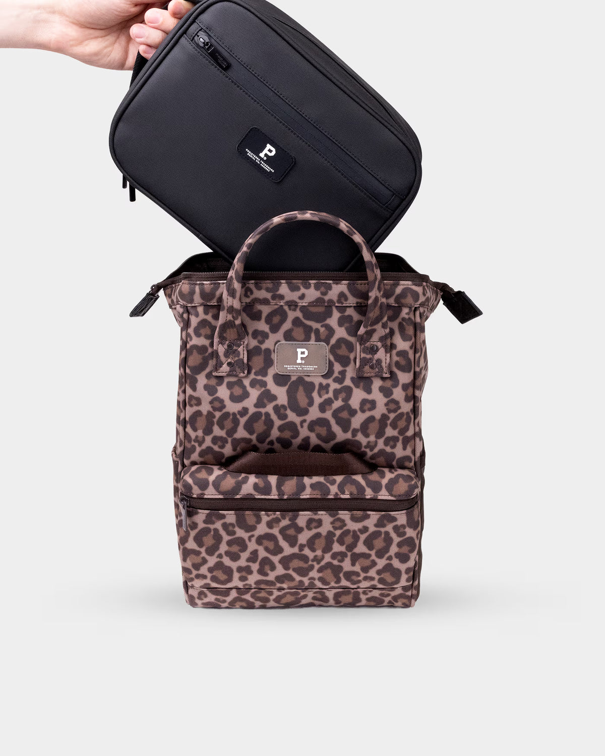 #color_leopard