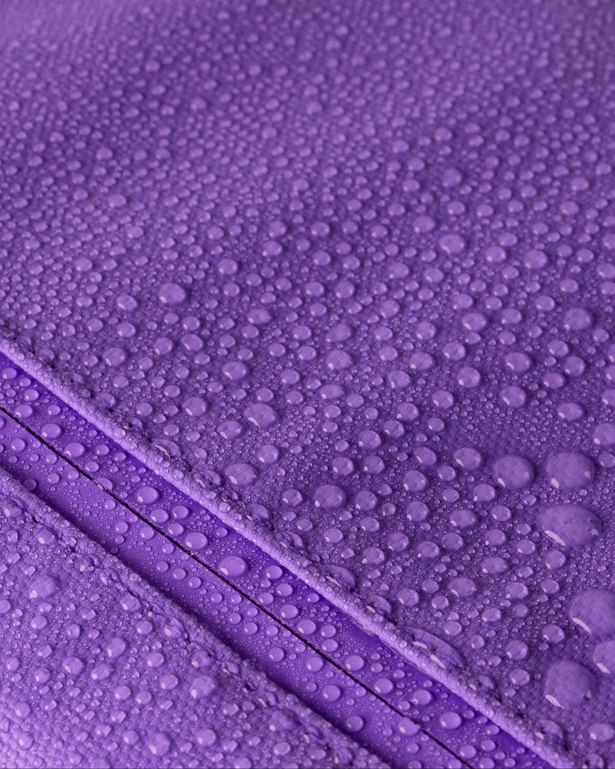 #color_iris