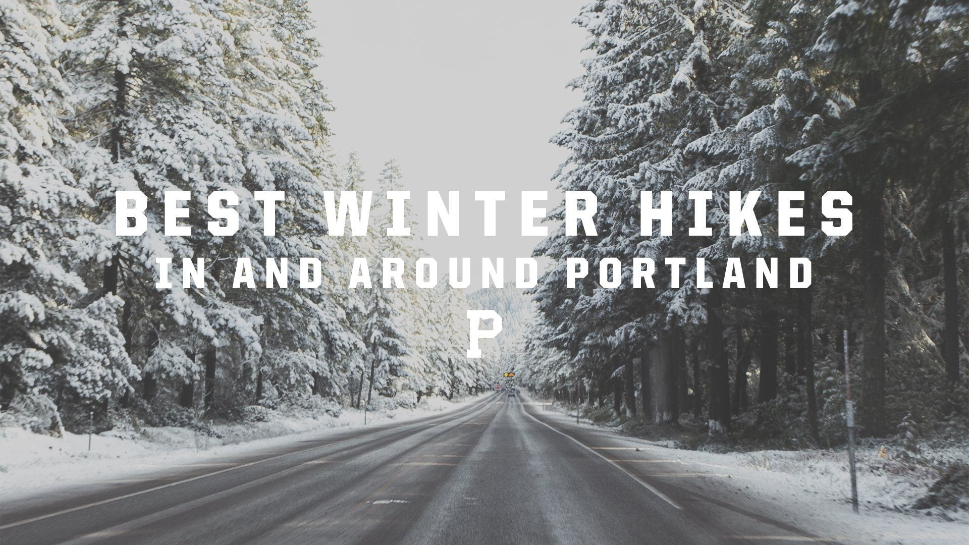Best Winter Hikes in and around Portland. - Portland Gear