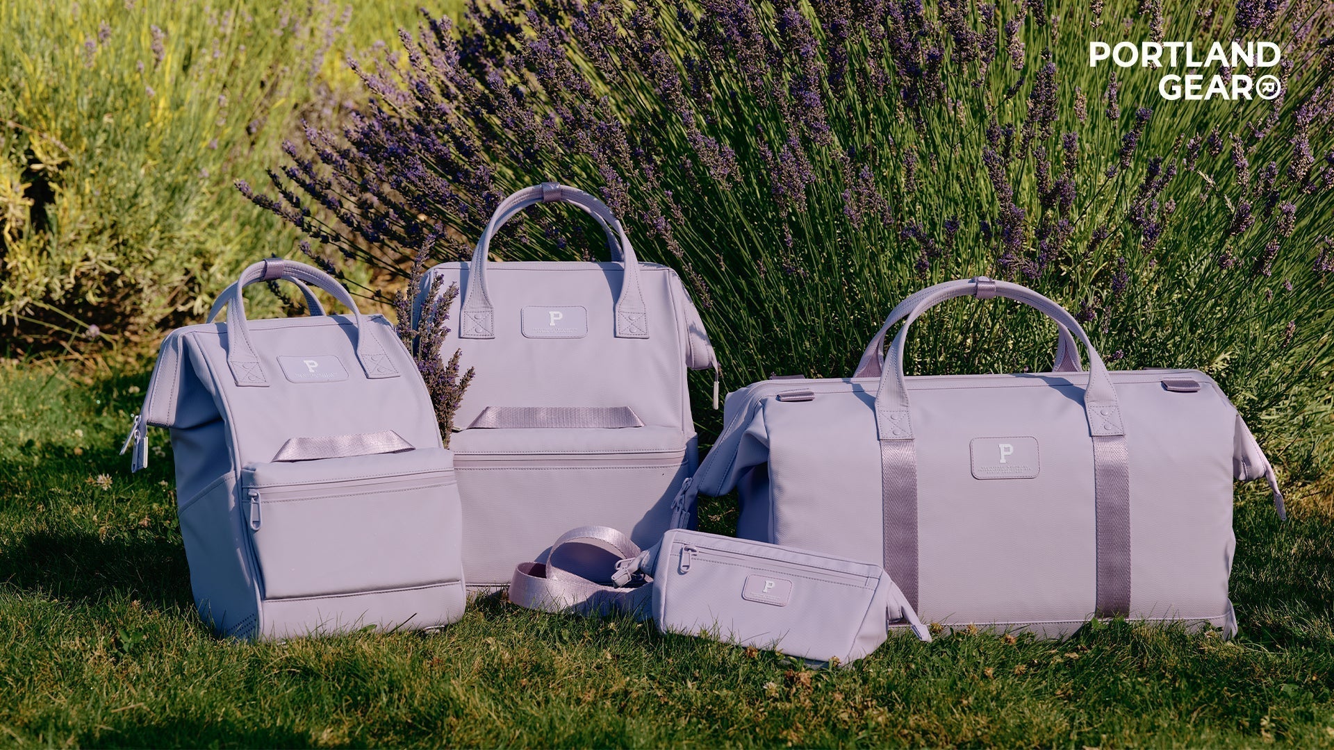 Cascade in Lavender.