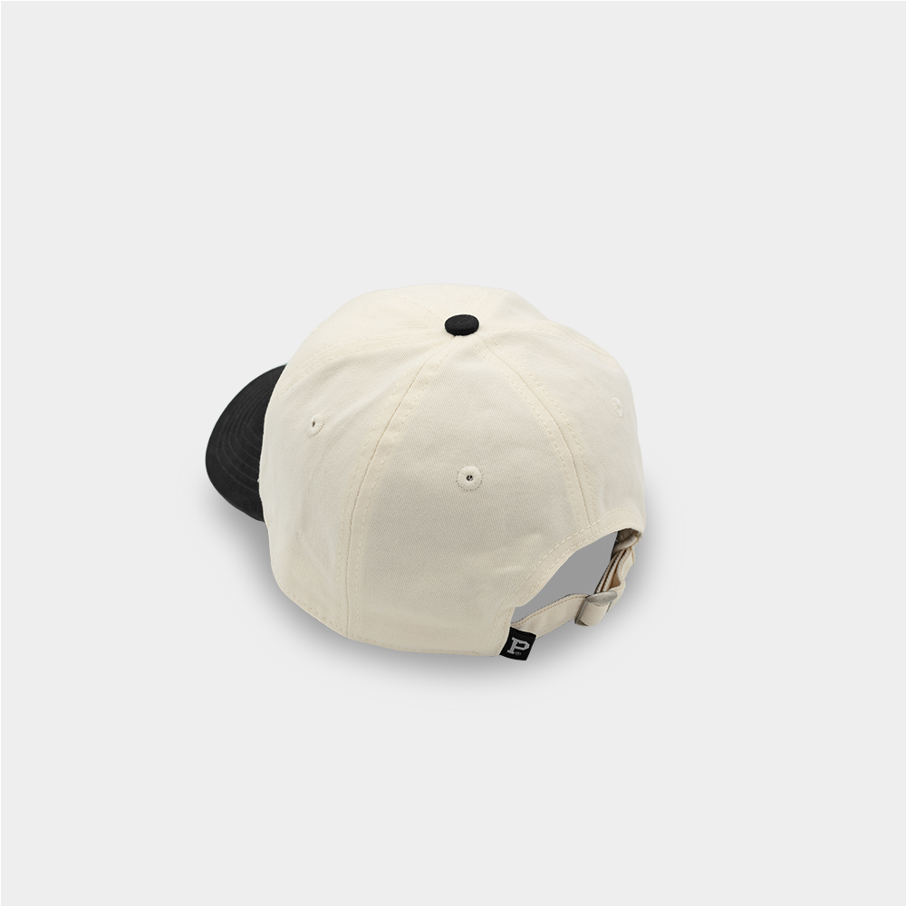 Two-Tone Dad Hat