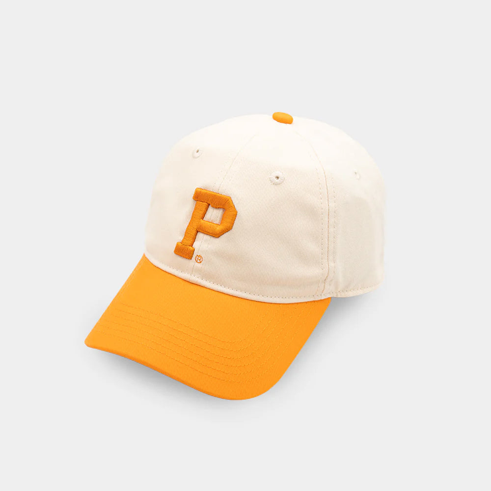 Two-Tone Dad Hat