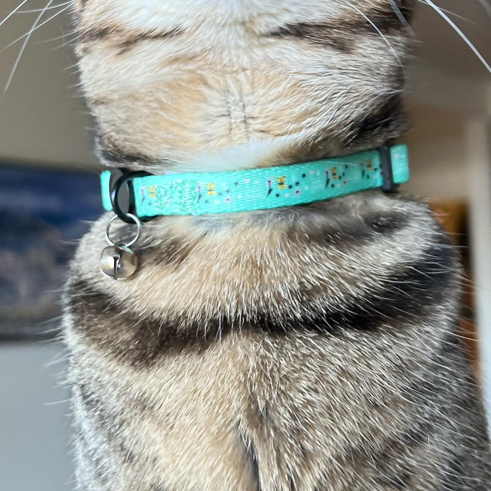 OHS X PG - Cat Collar
