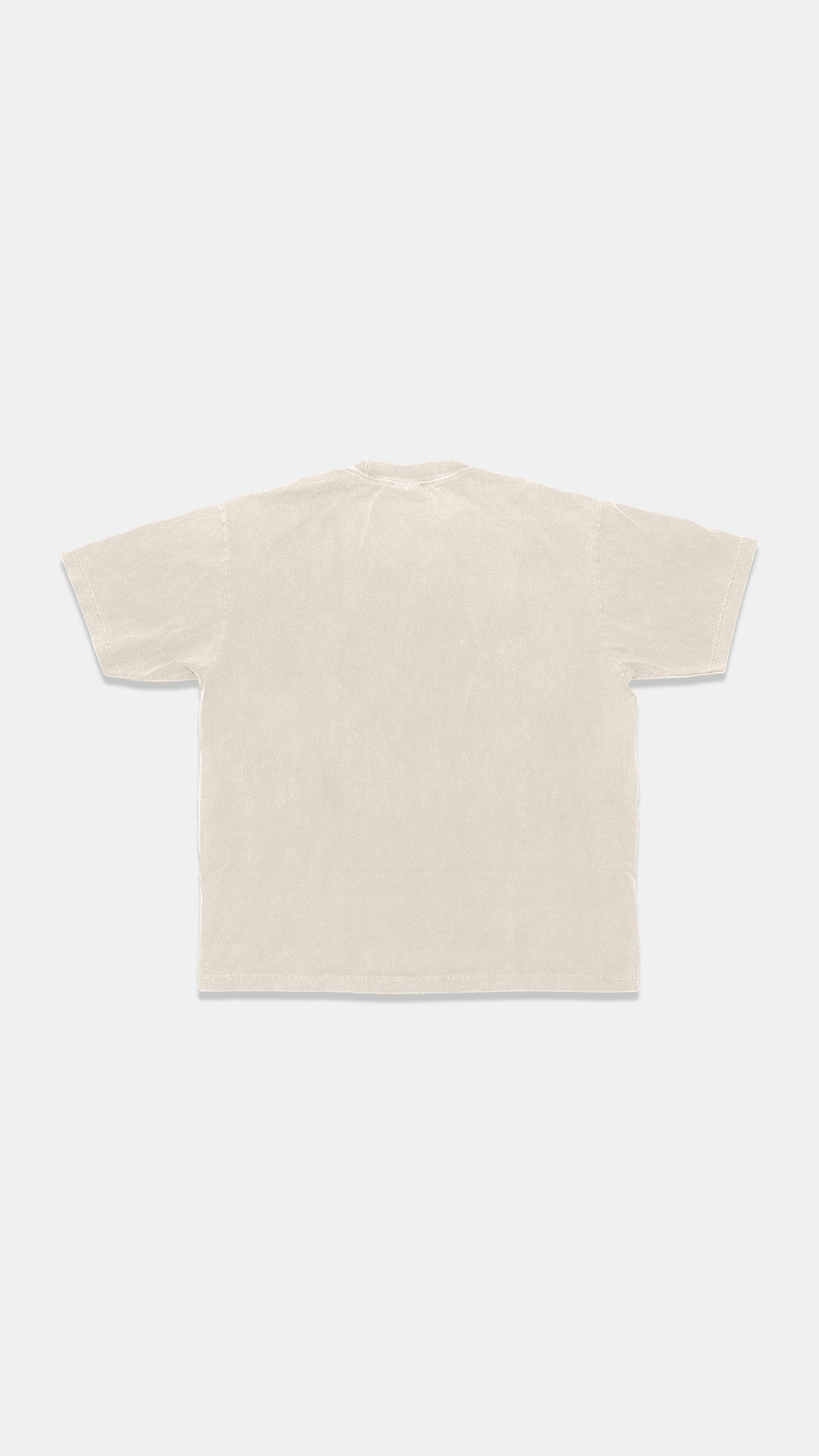 HeavyKnit Centerpiece Tee - Oatmeal