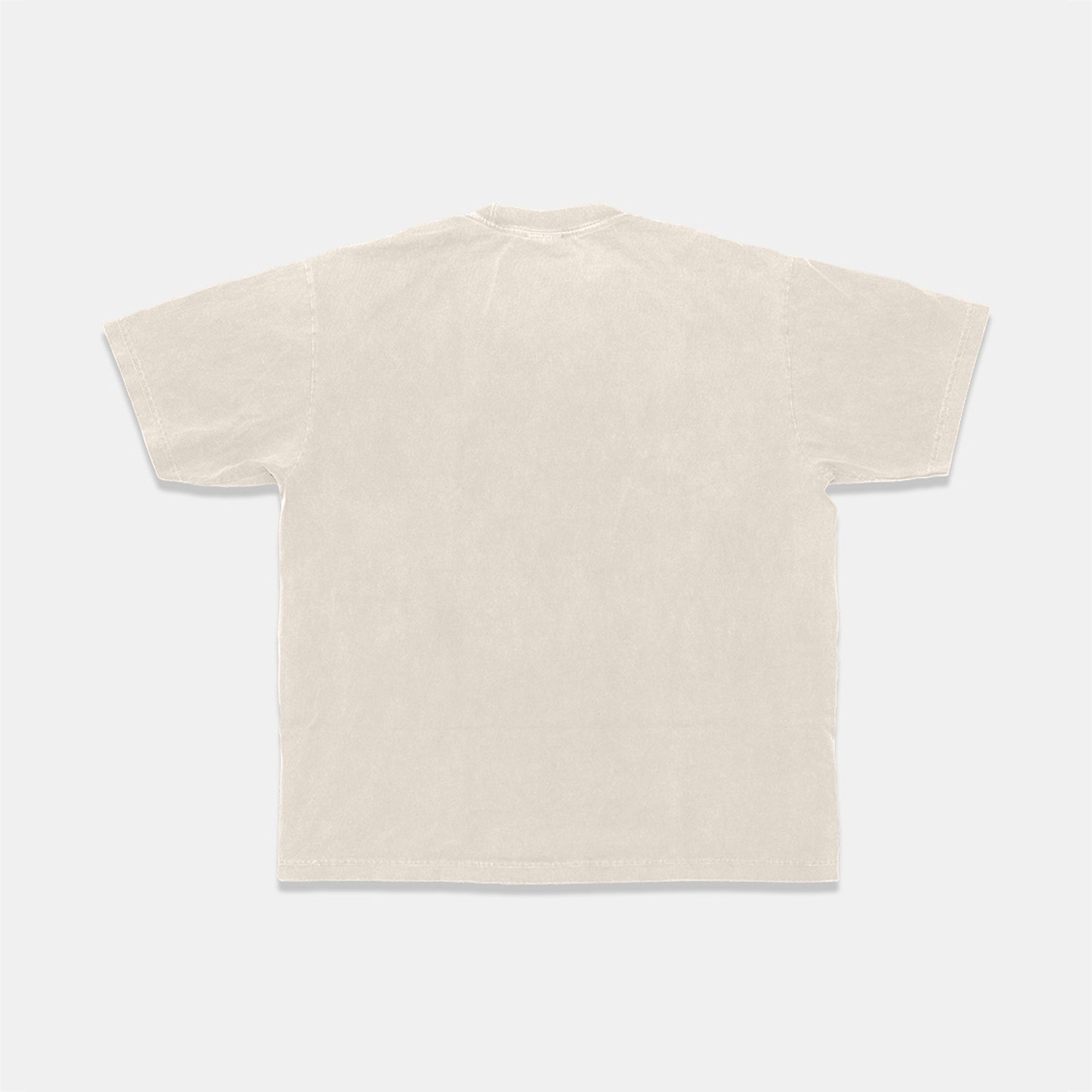 HeavyKnit Centerpiece Tee - Oatmeal