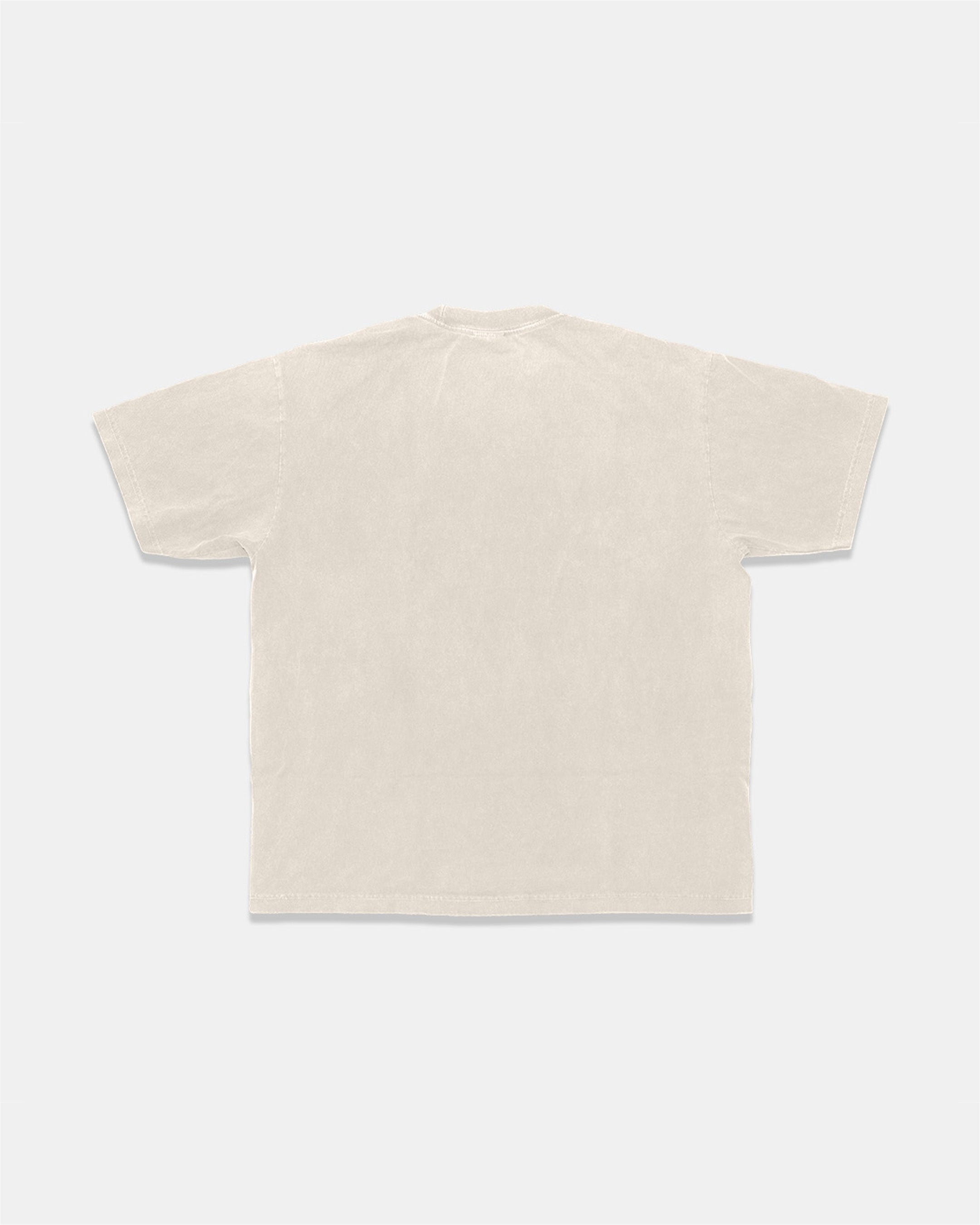 HeavyKnit Centerpiece Tee - Oatmeal