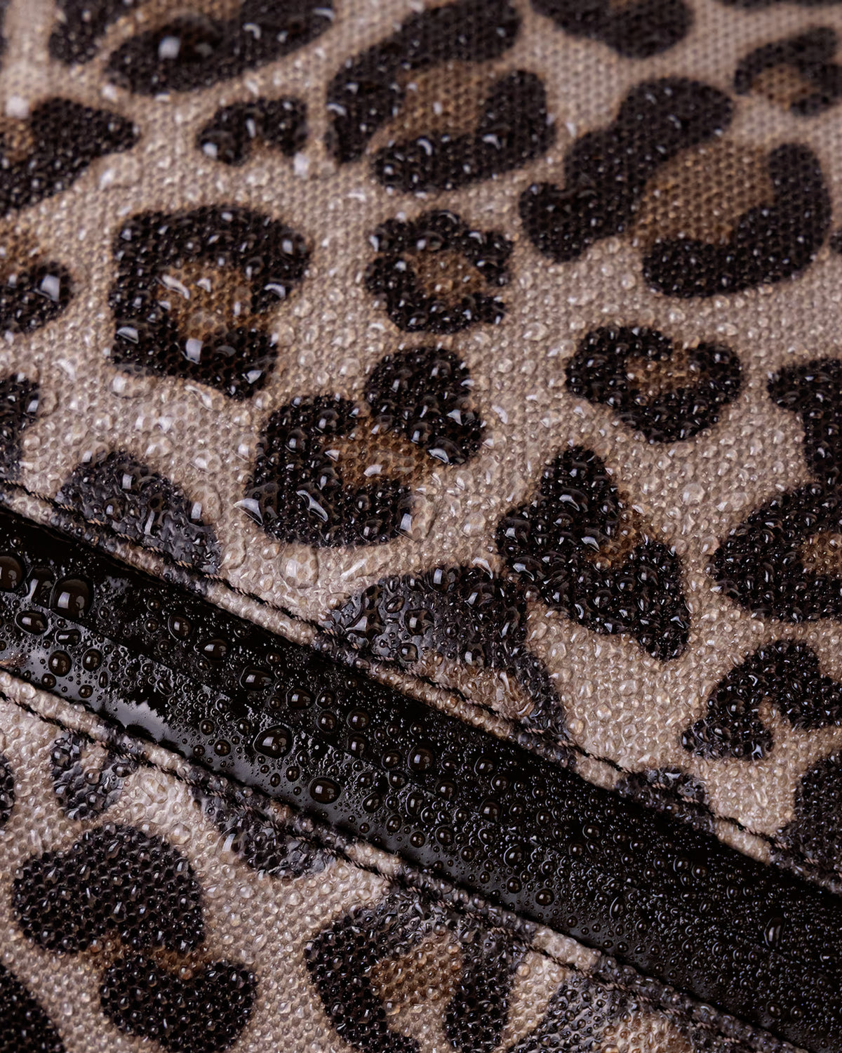 #color_leopard