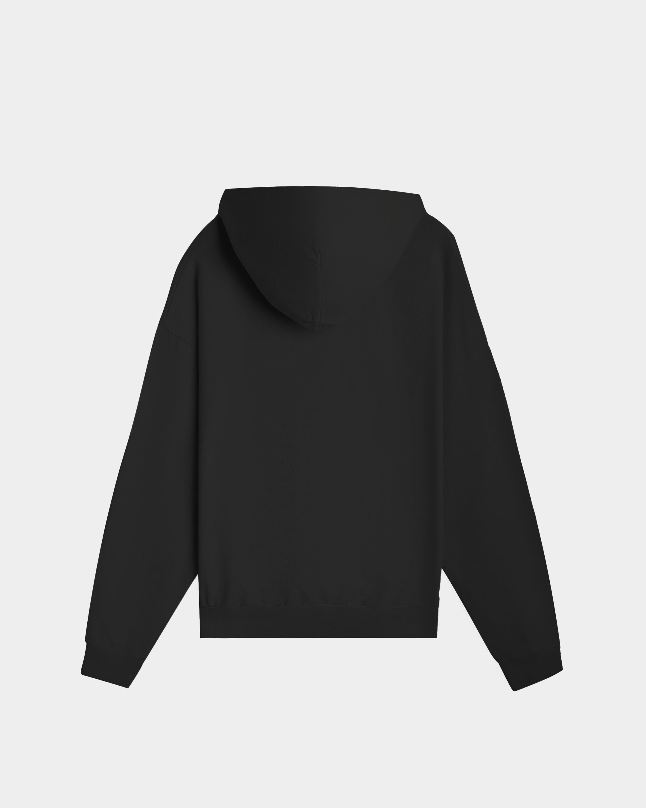 Sueded Liberty Graphic Hoodie