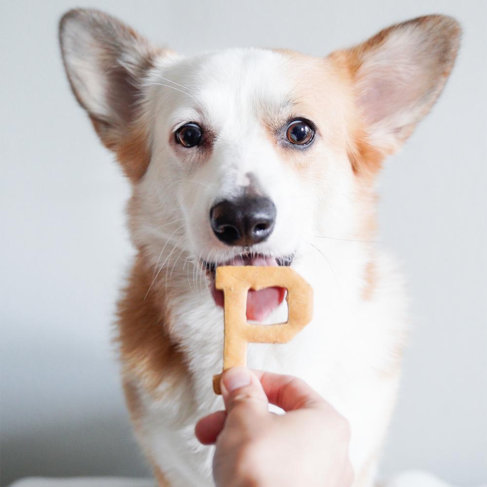 Dog Treats "P" Shape - Portland Gear